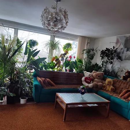 оазис Apartmán