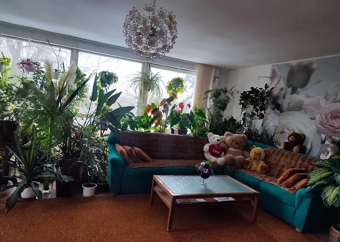 оазис Appartement